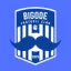 Club logo football club Bigode Fc