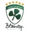 Club logo football club Blavozy Us