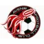Club logo football club Bouin Bois De Cene
