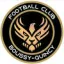 Logo du club de football Boussy-quincy FC