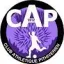 Club logo football club C.a. Pithiviers