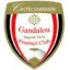 Club logo football club Castel.gandalou FC
