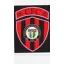 Logo du club de football Champforgeuil FC