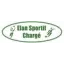 Club logo football club Charge Es