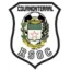 Logo du club de football Cournonterral