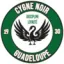 Logo du club de football Cygne Noir Basse Ter