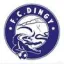 Logo du club de football Dingy St-clair F.c.