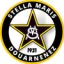 Club logo football club Douarnenez Stella