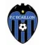 Logo du club de football Ecaillon FC
