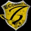 Club logo football club Ecommoy Fc