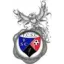 Club logo football club F C S C