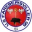 Club logo football club Farebersviller 05 Us