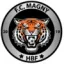Logo du club de football FC Magny