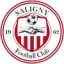Club logo football club Fc Saligny
