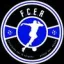 Club logo football club Fcea