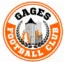 Logo du club de football Fcg