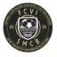 Club logo football club Fcvi