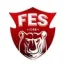 Logo du club de football Fenain Es