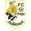 Logo du club de football Forges Audincourt