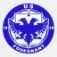 Club logo football club Fouesnant Us