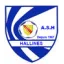 Logo du club de football Hallines AS