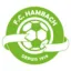 Logo du club de football Hambach FC