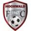 Club logo football club Hochwald Fc
