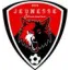 Logo du club de football J. Senonaise