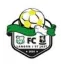 Club logo football club Langon St Just Fc