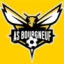 Club logo football club Le Bourgneuf Ams