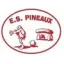 Club logo football club Les Pineaux Es