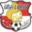 Logo du club de football Lievin Usa