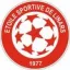 Club logo football club Linars Es