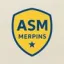 Club logo football club Merpins As