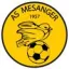 Club logo football club Mesanger As