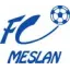 Club logo football club Meslan Fc