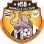 Logo du club de football Miracle Du Sud