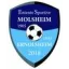 Club logo football club Molsheim Erno. Es