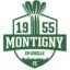 Club logo football club Montigny Gohelle Fc