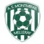 Club logo football club Montmirail Melleray