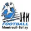 Club logo football club Montreuil Bellay Ua