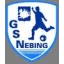Logo du club de football Nebing AS