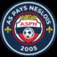 Club logo football club Neslois As Du Pays