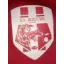 Club logo football club Niort Soucheen Sa