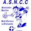 Club logo football club Noel Cerneux