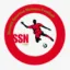 Logo du club de football Noiseau Ste S.