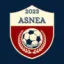 Club logo football club Noyant Nord Est Anj