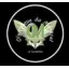 Club logo football club O. Du Montcel