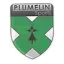 Club logo football club Plumelin Sp