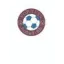 Clublogo voetbalvereniging Portets Fc